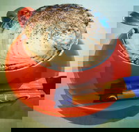 Phillips  Co - Accommodation Mooloolaba