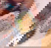 Quiksilver Bar 61 - Accommodation Mooloolaba