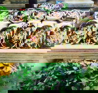 Salud Expresso Bar - Accommodation Mooloolaba