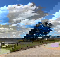 Short Sheep Micro-Winery - Accommodation Mooloolaba