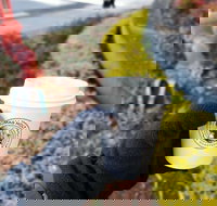 Thomas Holt Roasters - Accommodation Mooloolaba