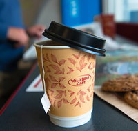 Wild Bean Cafe - Kingsford - Accommodation Mooloolaba