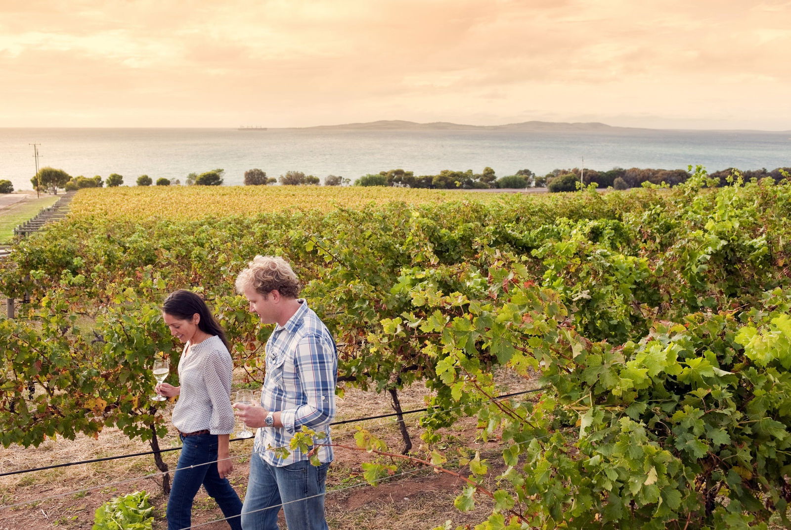 Accommodation Mooloolaba