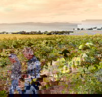 Boston Bay Wines - Accommodation Mooloolaba