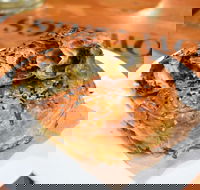 Hungry Bull Co. - Accommodation Mooloolaba