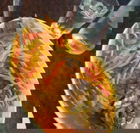 Mix and match - Accommodation Mooloolaba