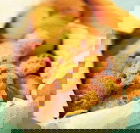 Mrs. Fields - Highpoint - Maribyrnong - Accommodation Mooloolaba