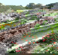 The Farmer's Place - Accommodation Mooloolaba