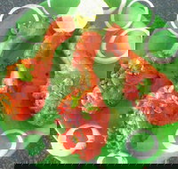 Coconut Lagoon Indian Cuisine - Accommodation Mooloolaba