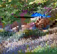 Macquariedale Organic Wines - Accommodation Mooloolaba