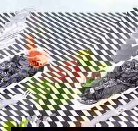 Nourish and Feed - Accommodation Mooloolaba