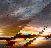 Old Lodge Gallery Emporium and River Cafe - Accommodation Mooloolaba