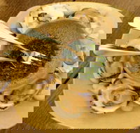 The Cottage Scone - Accommodation Mooloolaba