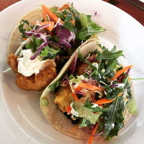 Argo Cafe Restaurant - Accommodation Mooloolaba 0