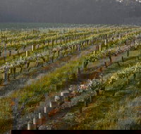 Cape Grace Wines - Accommodation Mooloolaba