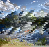 Hillbrook Hygge Cafe - Accommodation Mooloolaba