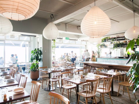 North Bondi Fish - Accommodation Mooloolaba 1