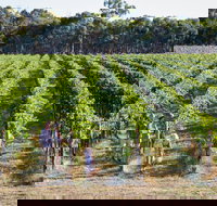 Weathercraft Wines - Accommodation Mooloolaba