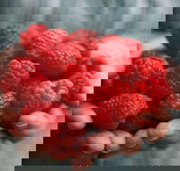 Christmas Hills Raspberry Farm Cafe - Accommodation Mooloolaba