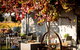 Jones Winery & Vineyard - thumb 0