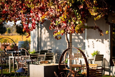 Jones Winery & Vineyard - Accommodation Mooloolaba 0