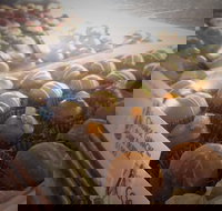 Pompadours Chocolate House - Accommodation Mooloolaba