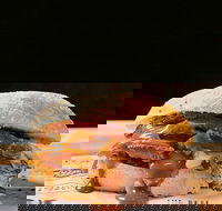 Sandwich Chefs - Accommodation Mooloolaba