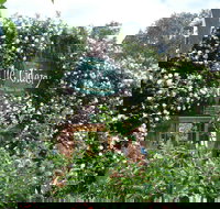 The Cidery - Accommodation Mooloolaba