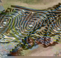 Bago Maze and Wine - Accommodation Mooloolaba