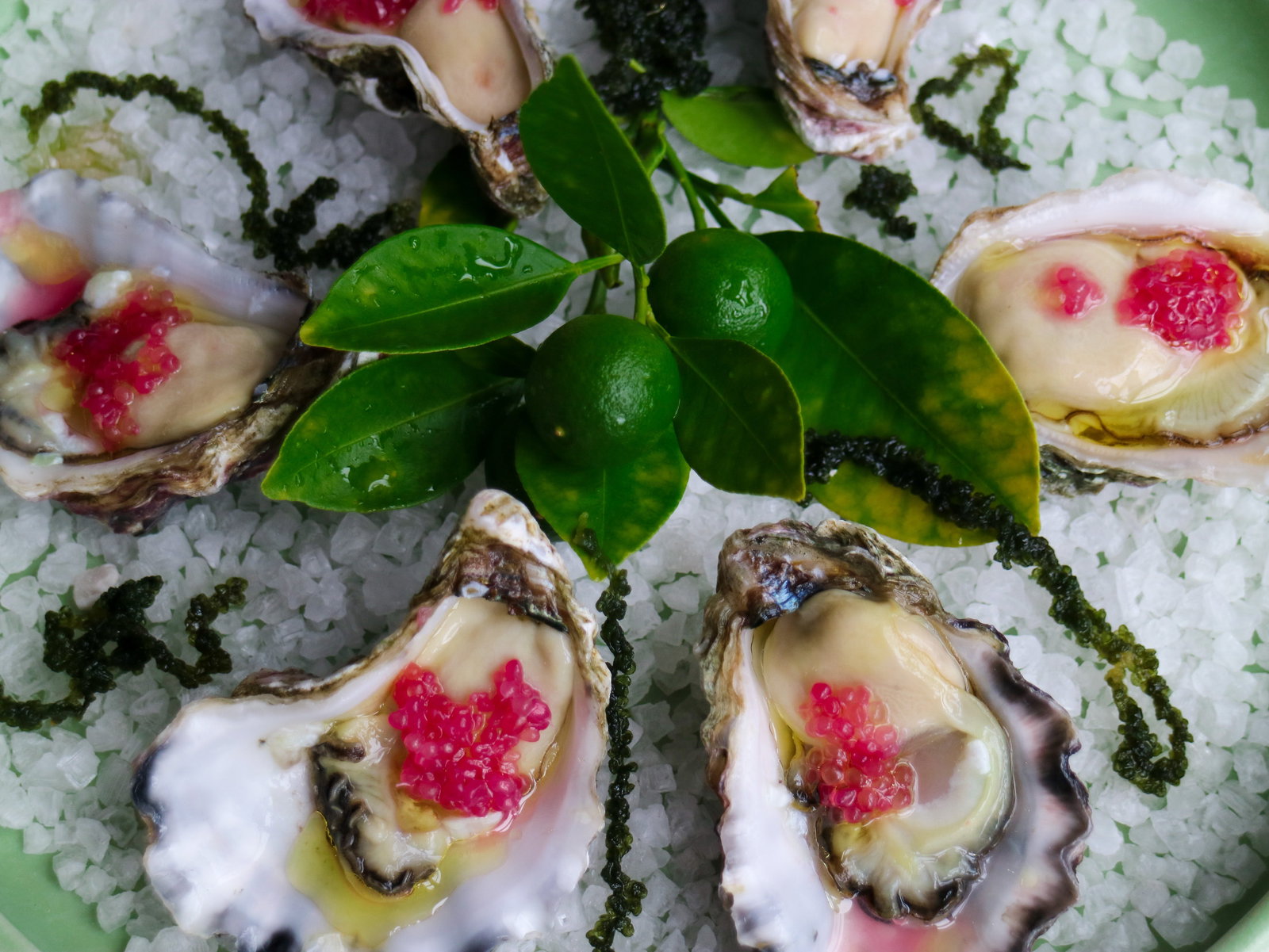 Broughton Village NSW Accommodation Mooloolaba