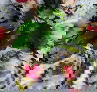 Bella Char Restaurant  Wine Bar - Accommodation Mooloolaba