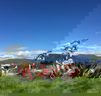 Red Feet Wines - Accommodation Mooloolaba