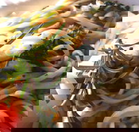 Merimbula Wharf - Accommodation Mooloolaba