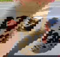 Tastea Taiwan - Box Hill - Accommodation Mooloolaba