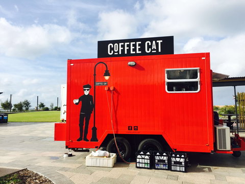 Coffee Cat - Accommodation Mooloolaba 0