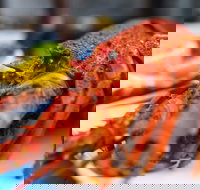 Freycinet Marine Farm - Accommodation Mooloolaba