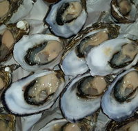 Manly Fish Market - Accommodation Mooloolaba