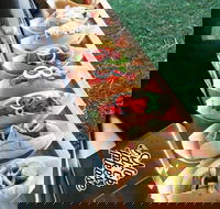 Balter Brewing Company - Accommodation Mooloolaba