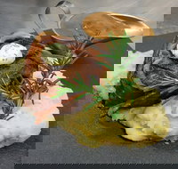 Hotel Settlers - Accommodation Mooloolaba