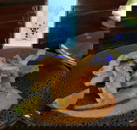 Cocina Mexican Grill and Cantina - Accommodation Mooloolaba