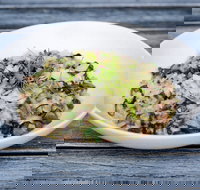 Coogee Diggers - Accommodation Mooloolaba