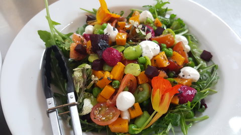 Hickinbotham Of Dromana - Accommodation Mooloolaba 2