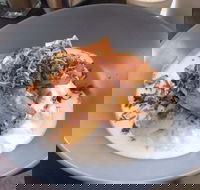 Jimmy Fox - Accommodation Mooloolaba