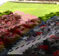 That Food Truck - Accommodation Mooloolaba