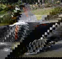 41 Degrees South Tasmania - Accommodation Mooloolaba