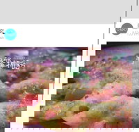 Cafe Invigor8 - Accommodation Mooloolaba