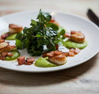 Ironbark Woodfired Pizza Restaurant  Cafe - Accommodation Mooloolaba