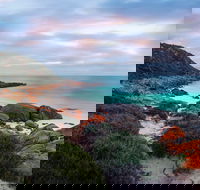 Marion Bay Tavern - Accommodation Mooloolaba