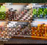 Melonhead - Accommodation Mooloolaba