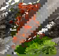 Royal India Restobar - Accommodation Mooloolaba